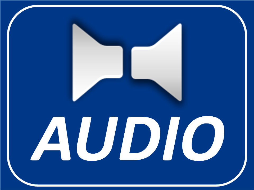 AUDIO