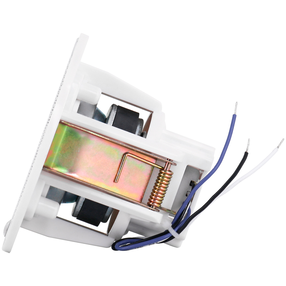 DSPPA-DSP3011 | DSPPA - Altavoz de techo de rango completo 3