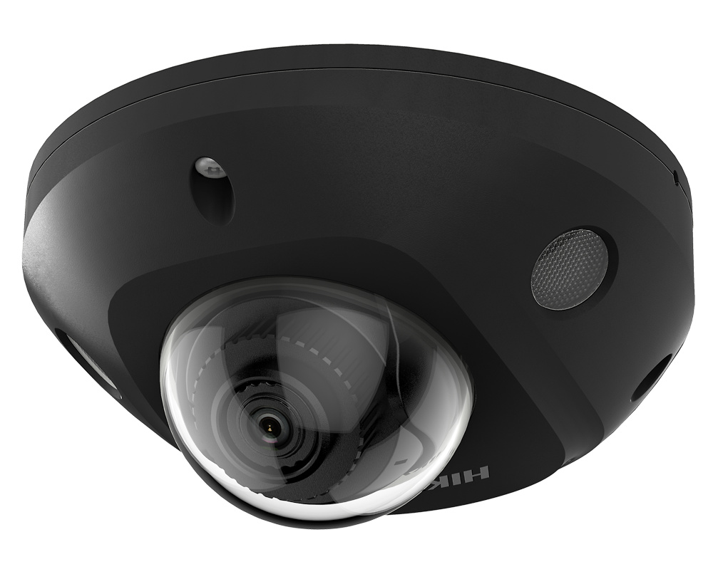 DS-2CD2543G2-IS(2.8mm)(BLACK) DS-2CD2543G2-IS(2.8mm)(BLACK) | hikvision